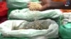 Ukraine Grain Deal thumbnail