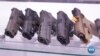 16x9 Image