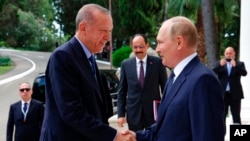 Turkiya va Rossiya prezidentlari uchrashuvi, Sochi, Rossiya, 2022-yil, 5-avgust