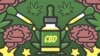 Що таке CBD (КБД) та чому його називають новою панацеєю у США? 