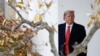 President Donald Trump waits outside the Oval Office of the White House on the South Lawn in Washington, Nov. 26, 2019.
