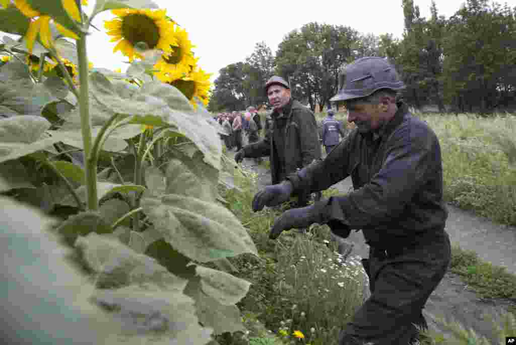 Ukrain konchilari samolyot qoldiqlarini qidirmoqda, Rozsipne, Donetsk