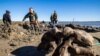 Russian Scientists Dig Out Well-Preserved Woolly Mammoth
