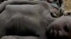 13 Die of Hunger in South Sudan State
