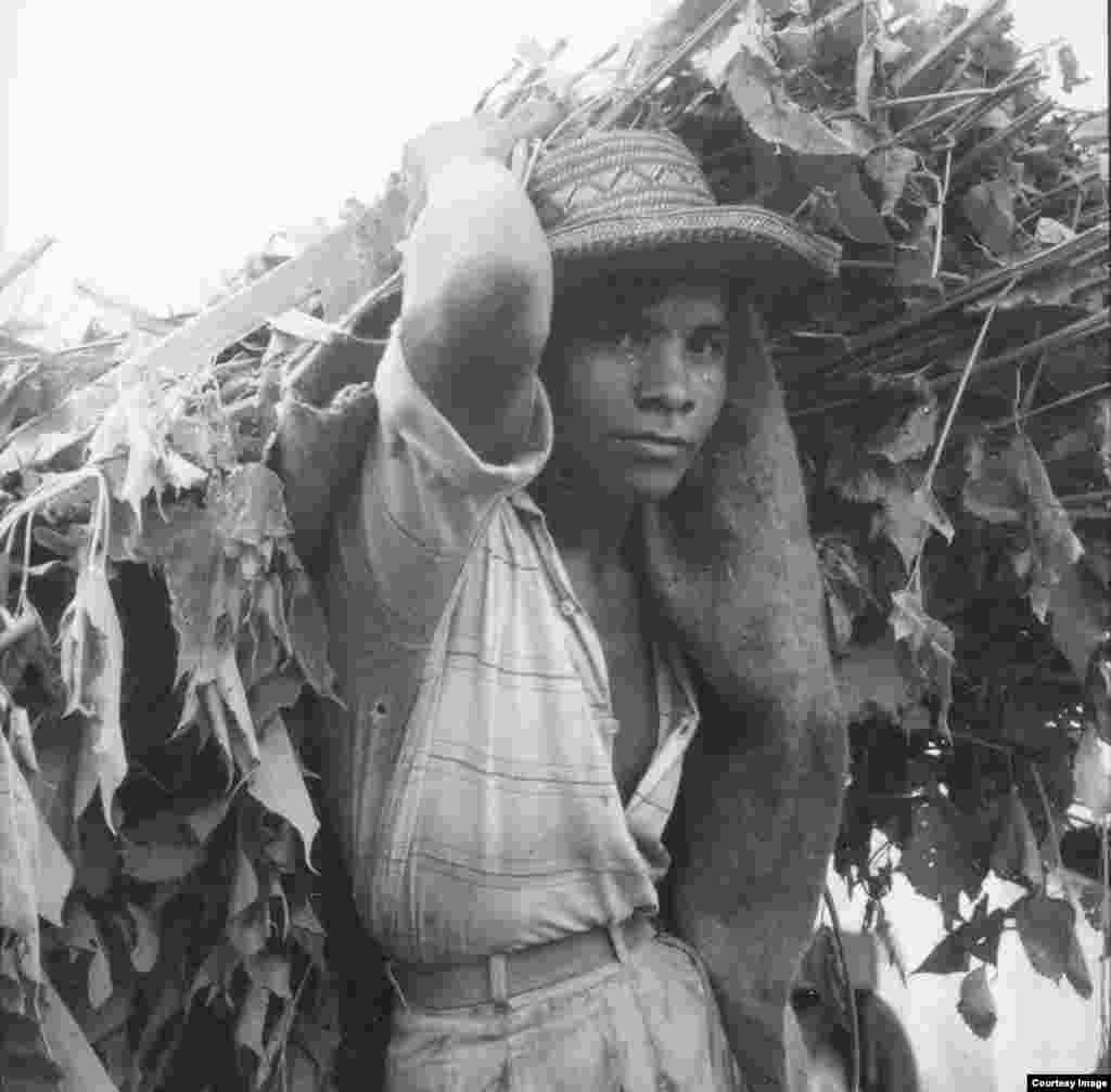 Venesuela. 1960-yil. Amerikalik suratkash, fotojurnalist Doroteya Lang Buyuk tushkunlik davrini mohirona tasvirga tushirgan. U hujjatli fotografiya rivojiga qo&#39;shgan hissasi bilan tanilgan.