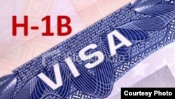 H-1B vizasi chet ellik "noyob mutaxassis" uchun beriladi