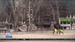اخبار شامگاهی