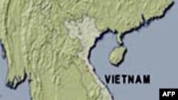 Chính phủ Việt Nam quyết cứu nguy công ty Vinashin
